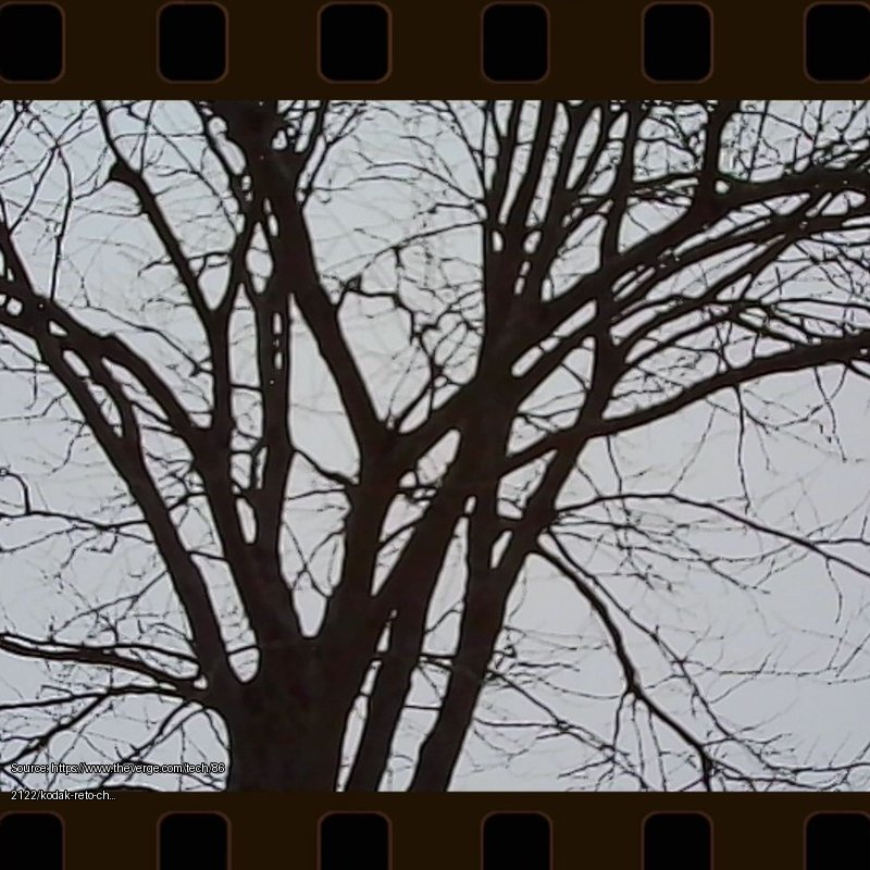 kodak-charmera - Fair use review image from https://www.theverge.com/tech/862122/kodak-reto-charmera-digital-camera-blind-bag-keychain-collectible